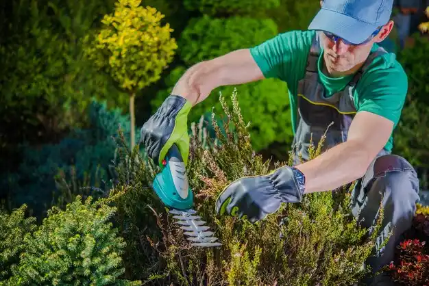 landscaping services North Muskegon